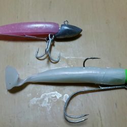 ホームで久々のツ抜けでした。